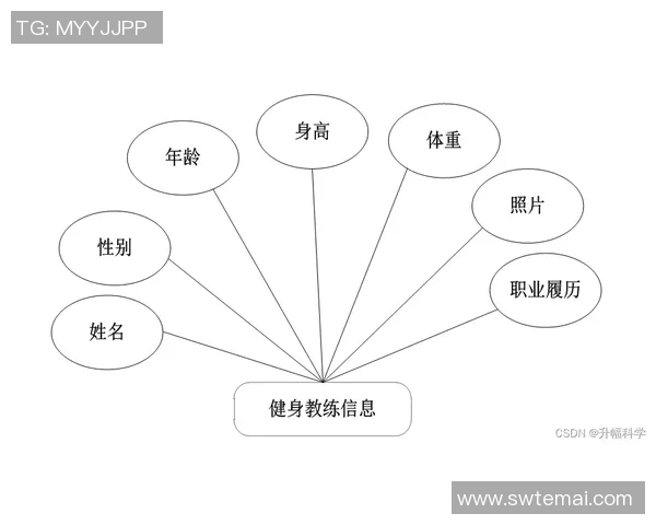 杭州飞盘队的战术解析与控制策略深度剖析