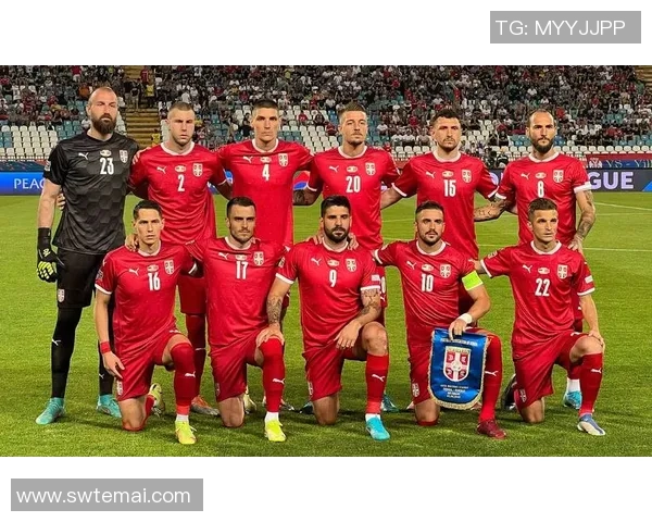 挪威vs瑞典欢呼吧